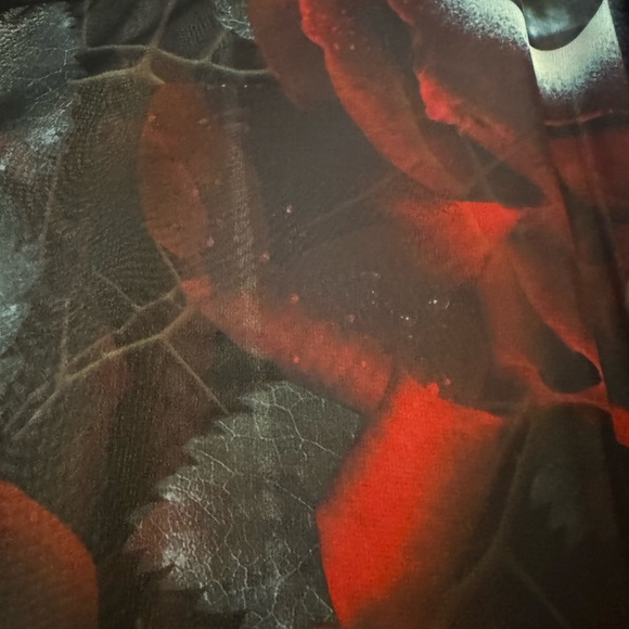 KILLSRAR Sheer Red Rose Black Eyeball Button Up Top - Picture 3 of 3